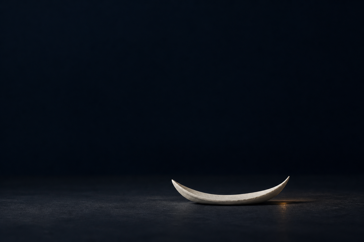 A low ivory porcelain crescent rests on a dark surface. A tiny amber reflection lies beside it; the space above is empty.